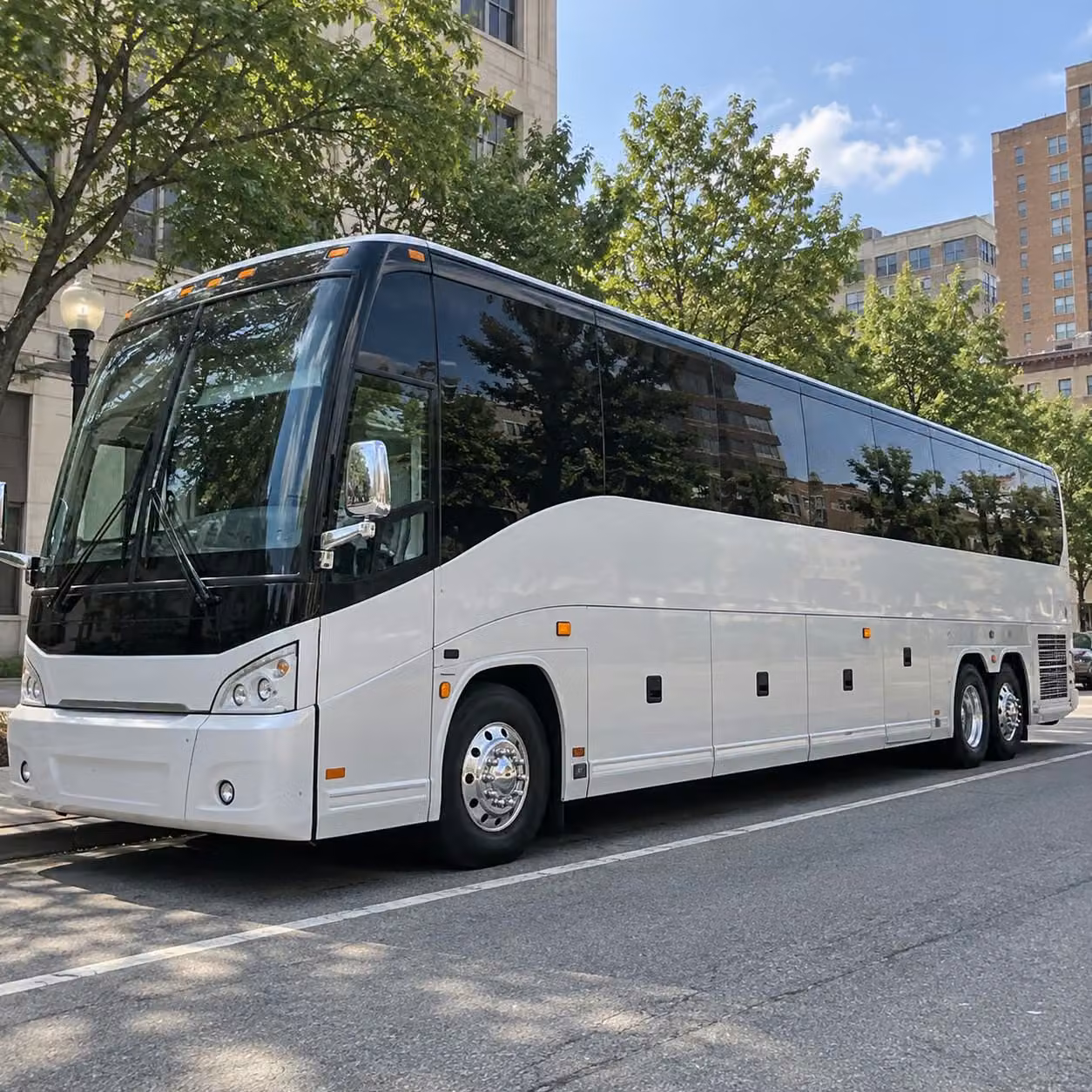 charter buses and minibuses for cal state san marcos athletics and campus sports events